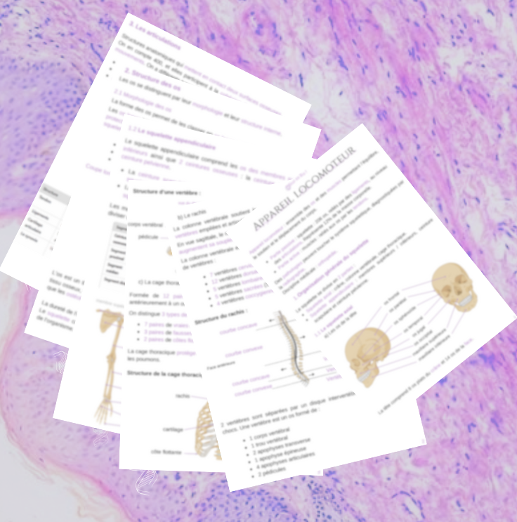 Fiche 1/5 - Appareil locomoteur - BPH ST2S