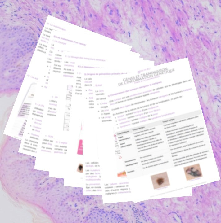 Fiche 4/4 - La cancérogenèse - BPH ST2S