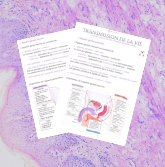 Fiche - Appareils Reproducteurs - BPH ST2S