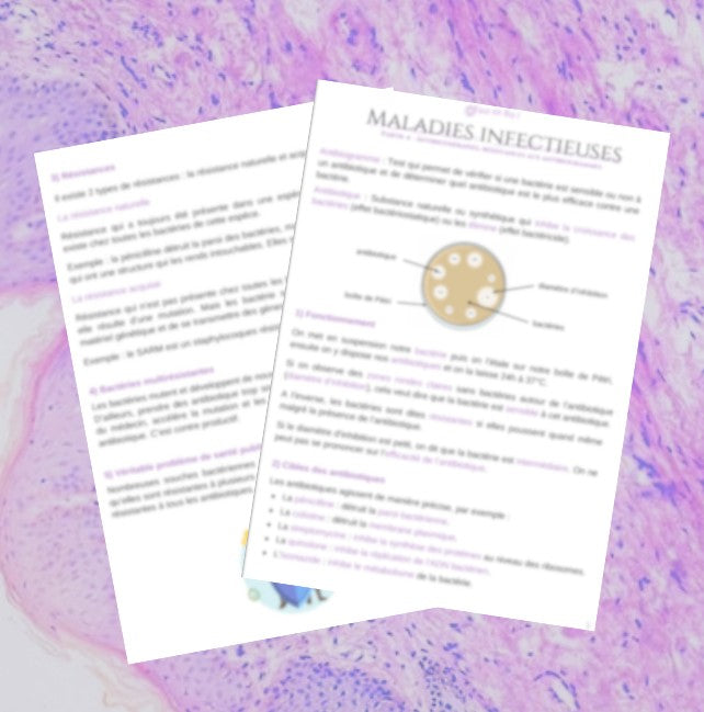 FICHE 4/4 - Antibiothérapies et résistances aux antibiotiques - BPH ST2S