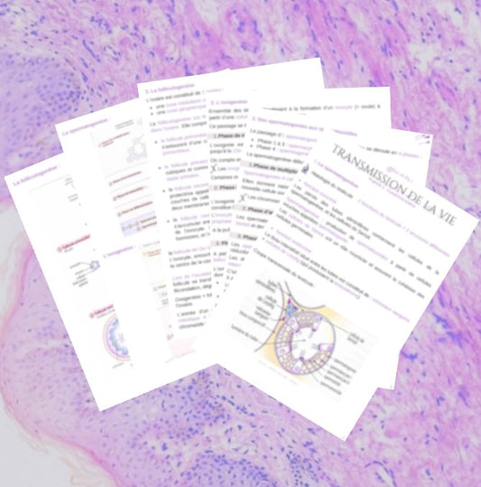 Fiche - Gamétogenèse - BPH ST2S