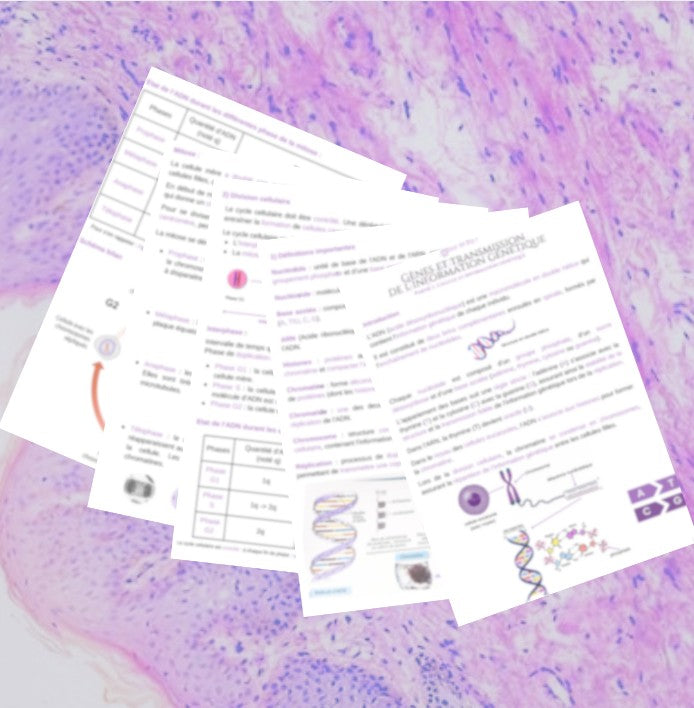 Fiche 1/4 - Cellule et information génétique - BPH ST2S