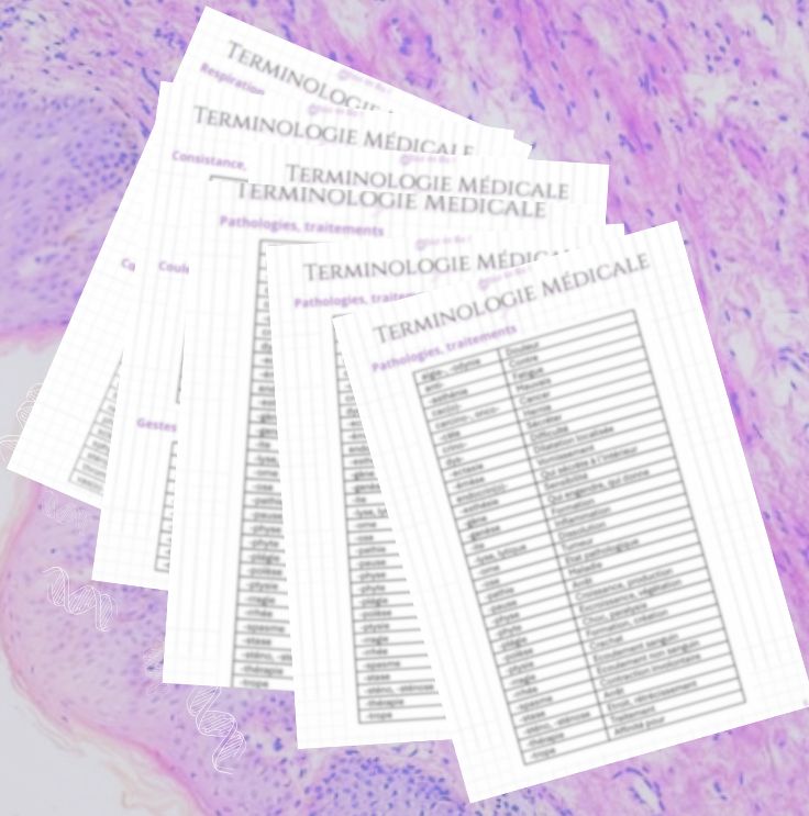 Fiche - Terminologie Médicale - BPH ST2S