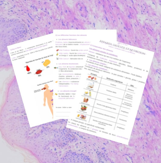 Fiche 1/5 - Introduction à la nutrition - BPH ST2S