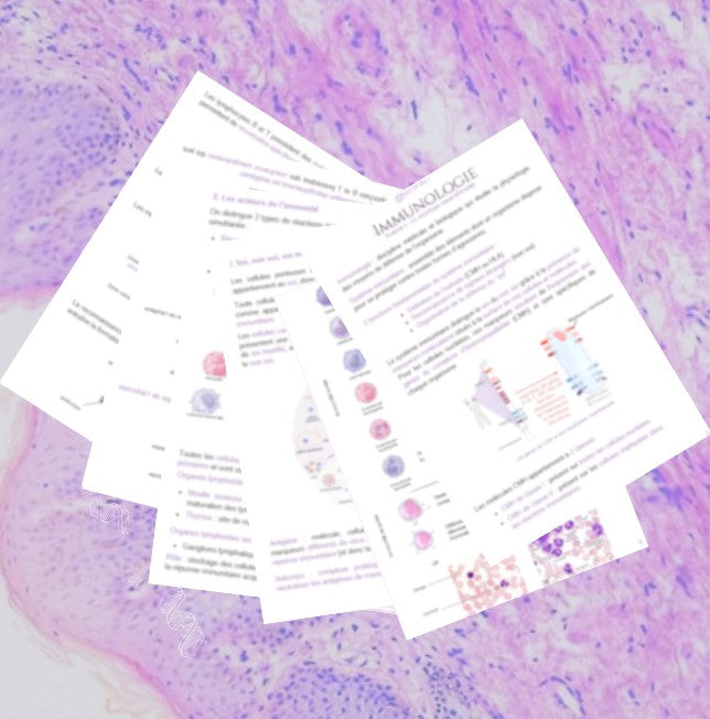 Fiche 1/4 - Système Immunitaire - BPH ST2S