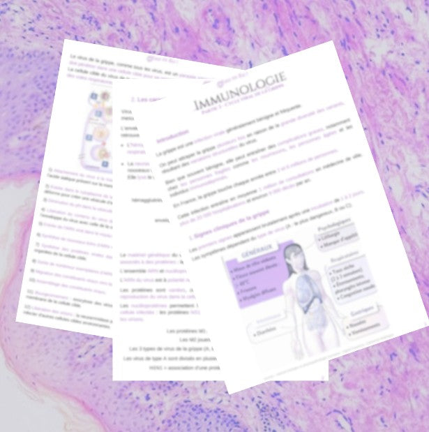 Fiche 3/4 - Cycle viral de la grippe - BPH ST2S